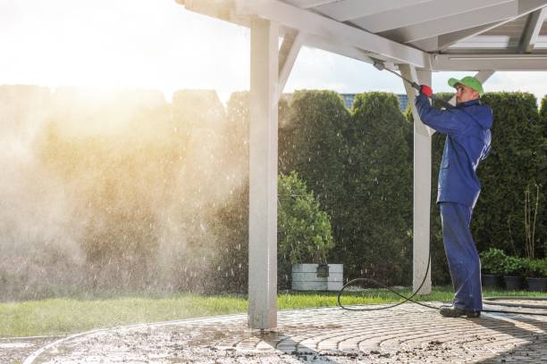 Best Driveway Pressure Washing  in North Bonneville, WA